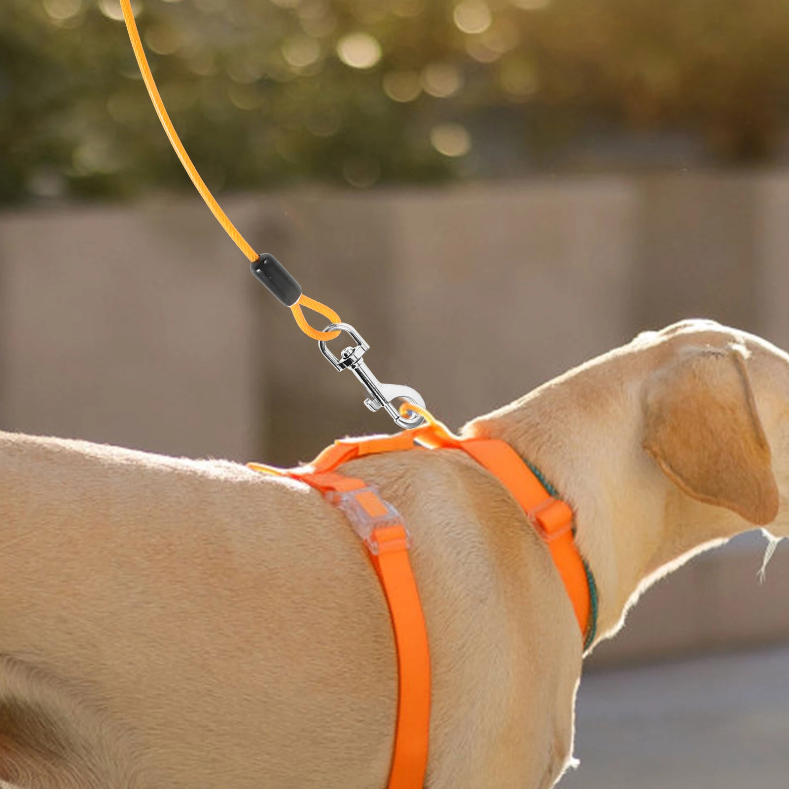 

Steel Wire Pet Dog Leash Tear-Resistant Soft Comfortable Dog Walking Traction Rope Running Leash Trailer Tie Tow Rope