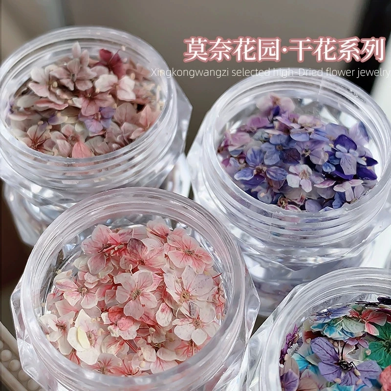 1 caja de mini flores secas reales para decoración de uñas, flores secas prensadas en 3D de colores, suministros para manualidades DIY, accesorios para uñas