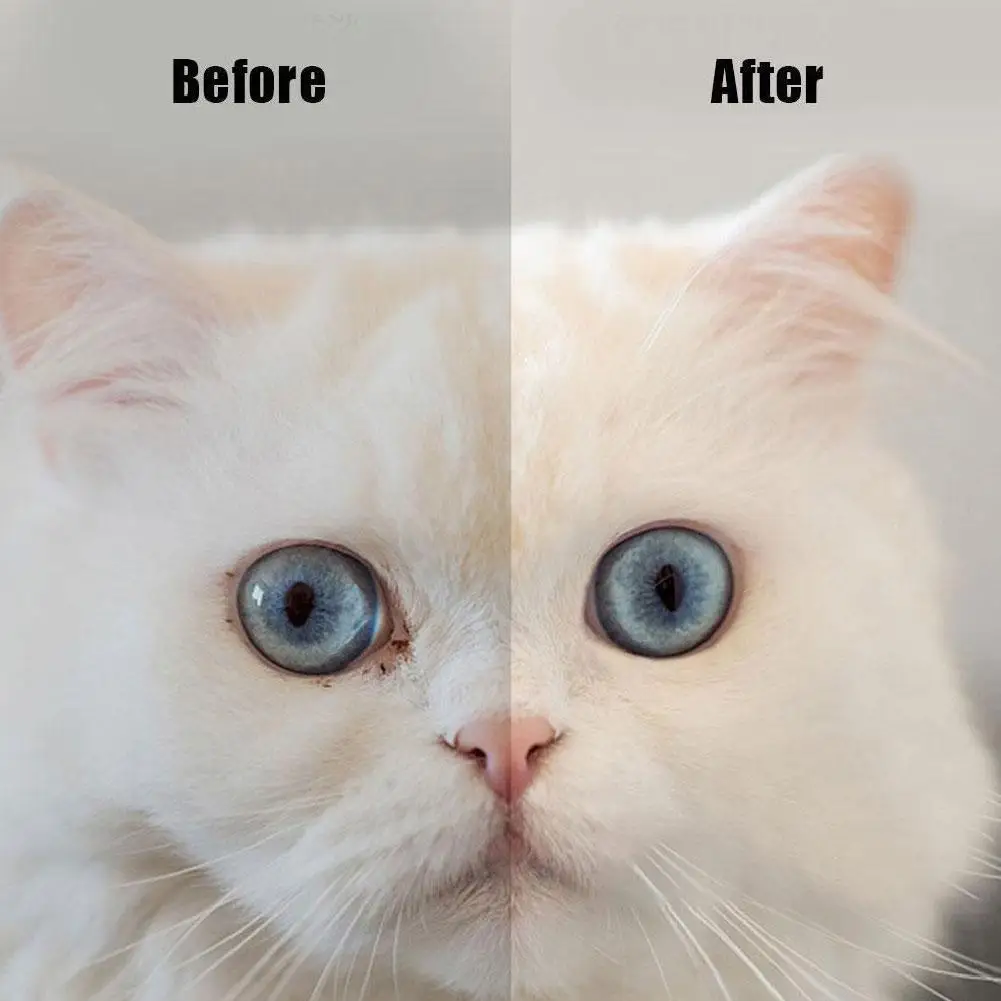 مرهم العين لالتهاب القرنية للحيوانات الأليفة