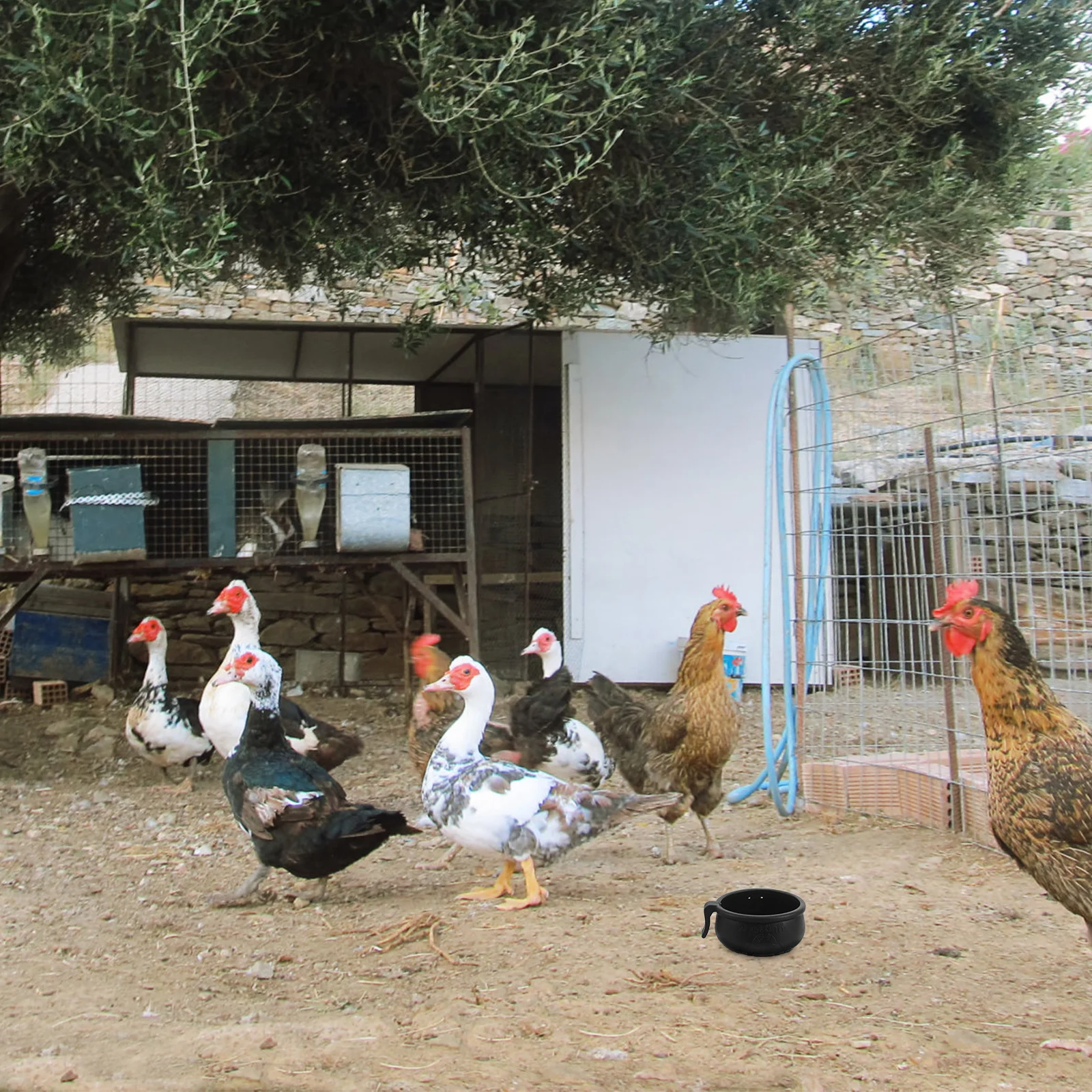 

1 set 1 Set Chicken Waterer Replaceable Cups Durable Poultry Drinking Bowl For Cockfighting Training Multi-Function Bird Water
