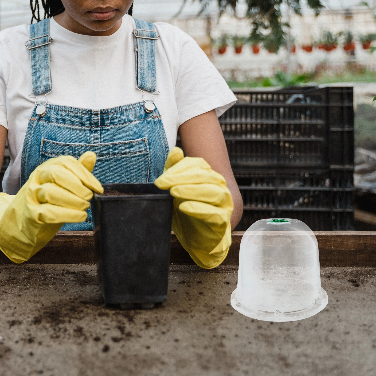 

5 шт. купольный многоразовый садовый клош, уличное укрытие, теплица для защиты сада, детская крышка, террасы, газоны, сады, открытый