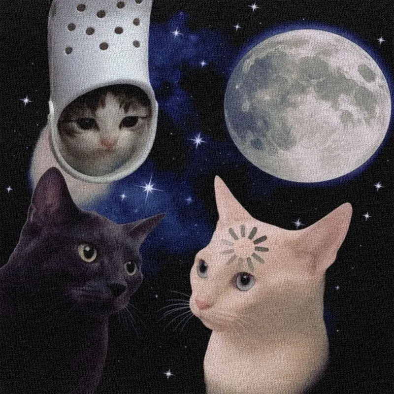 Weird Space Cats Divertente Luna T Shirt Uomo Donna Maniche corte Moda Abbigliamento casual Stile estivo 100% cotone Tee Tops