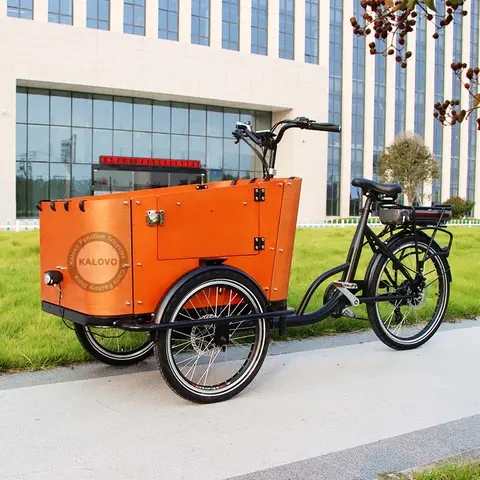 2025 New Design Europe Aolly Frame Cargo Bicycle Retro Danish Family 3 Wheels Cargo Bike With Rain Cover For Kids