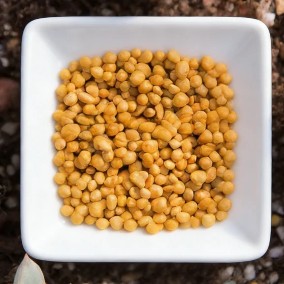 Succulent Plant Fertilizer Succulent Fertilizer Succulen Growth Thormone Bonsai Fertilizer With Low Price