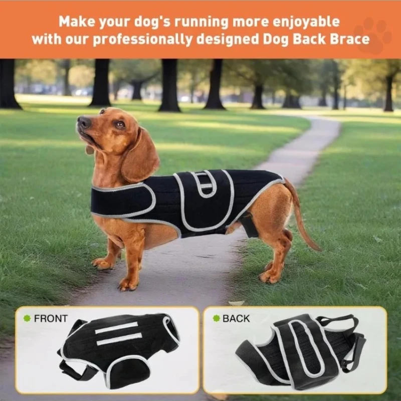 

Adjustable Dog Back Brace Spinal Stability Vest Small Support Harness for Stair Step Walking Jogging Home Outdoor Travel