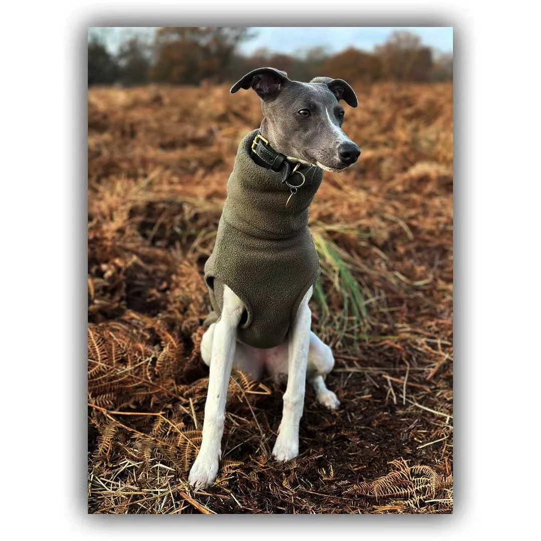 Effen kleur fleece wintervest met hoge hals voor Italië Greyhound Stretch Klassieke warme basislaag voor Whippet Puppy Lentekostuum