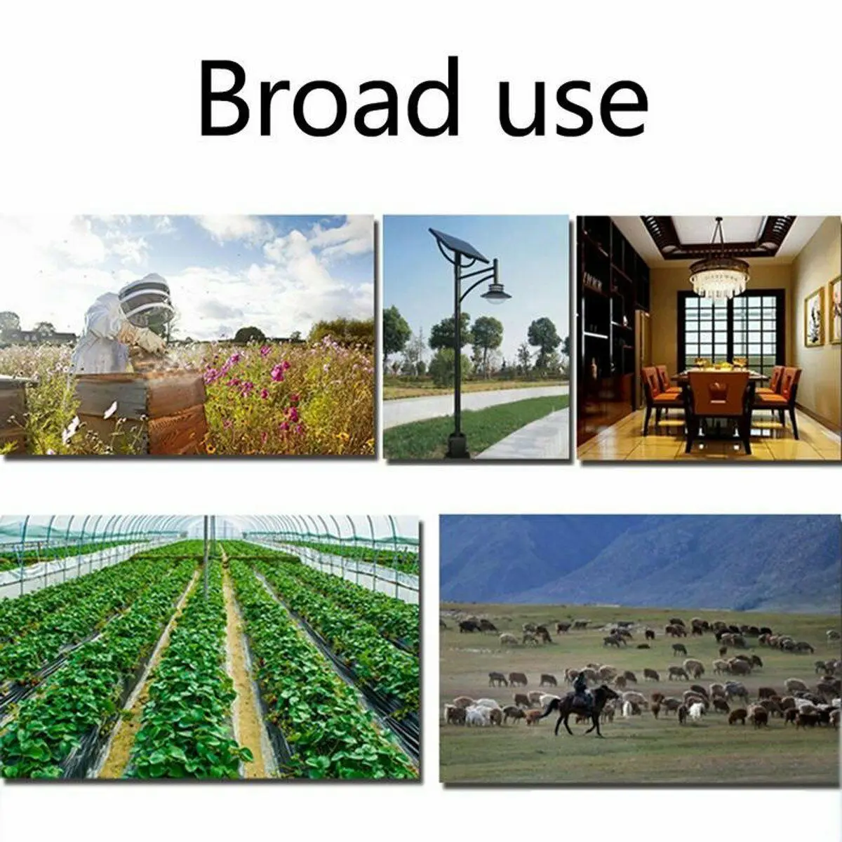 

30A Solar Controller Mppt 12V 24V Regulator Real-Time Temperature Dc Plug Auto Tracking