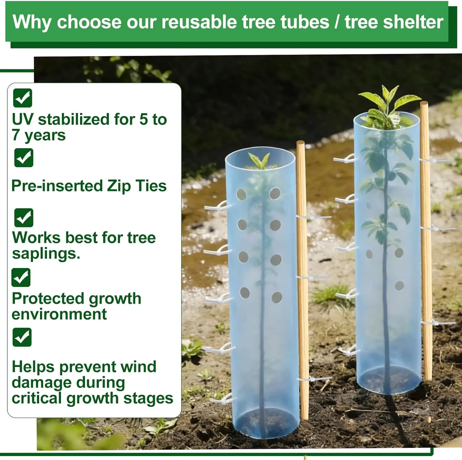 Plant Trunk Protector, Insect Proof, Squirrel Proof, Mouse Gnawing, Plastic Material Tree Cover, Gardening Tools