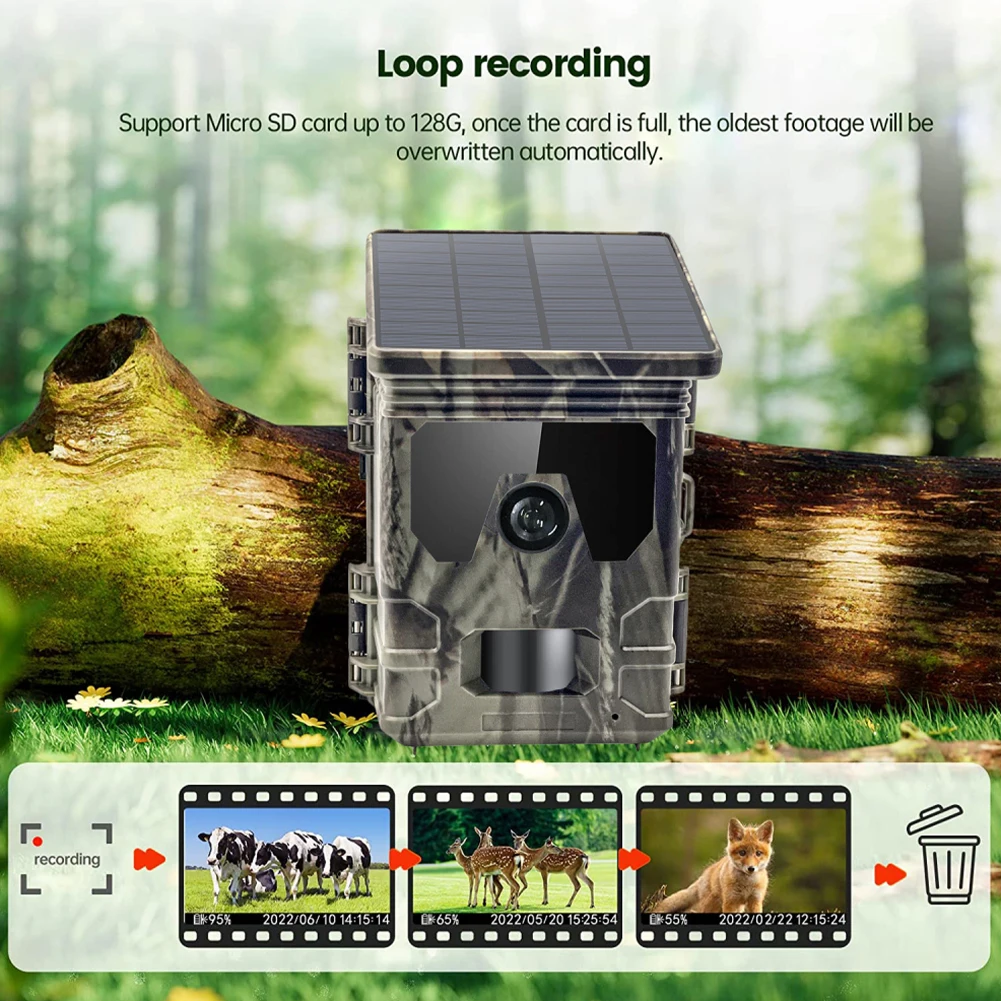 24MP 1080P Solar Power Hunting Camera Infrared Night Vision Wildlife Observation Video Photo Recorder 128GB Solar Trail Camera