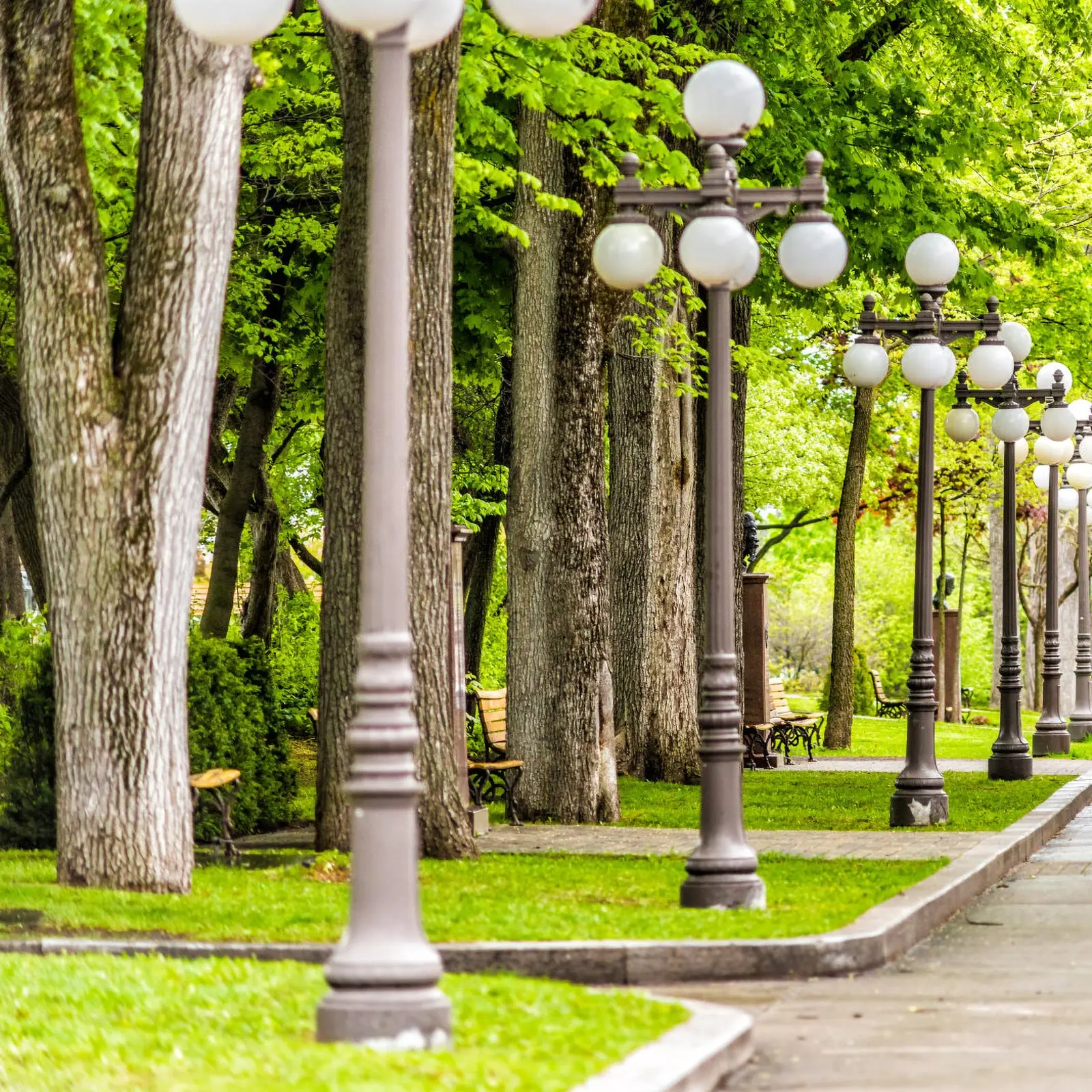 

Round Lampshade Acrylic Globe Light Cover For Ceiling Floor Stand Lights Outdoor Indoor Home Decoration Replacement Oil