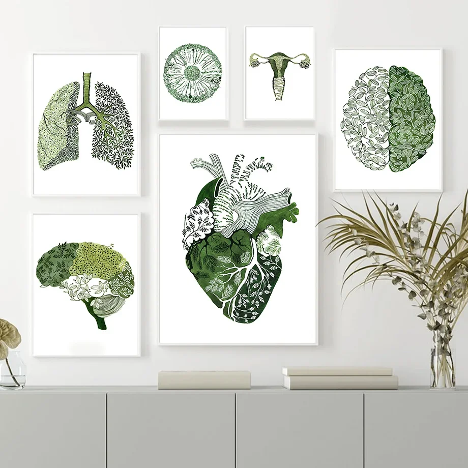 1PC--Human Anatomy Heart Brain Lung Eye Uterus Wall Art Canvas Painting Nordic Posters And Prints Wall Pictures For Medical D