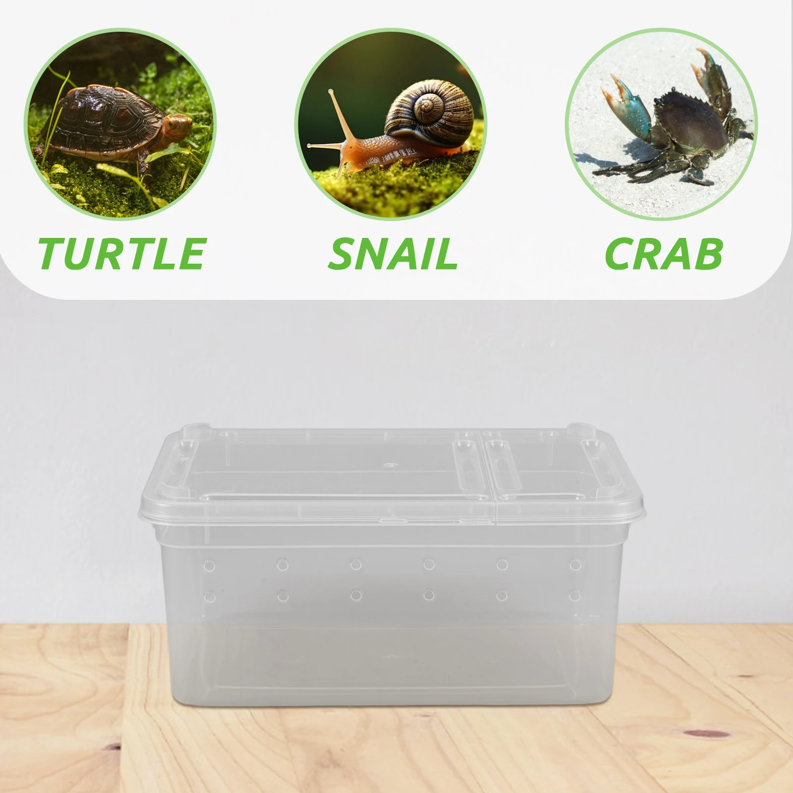 

Reptile Feeding Box Acrylic Breeding Container For Spider Lizard Frog Small Turtle Tarantula Terrarium Snail Incubator Gecko