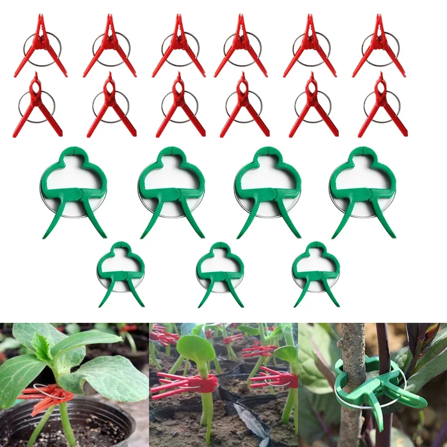 

10/20/50pcs Garden Graft Clip Red Plastic Plant Support Clips Antifall Clamps For Vine Garden Greenhouse Vegetables Watermelon