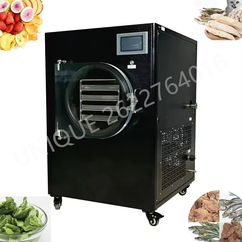 Small Vacuum Fruit Freeze Drying Dried Machines Mini Automatic Vegetables Lyophilizer Food Freezer Dryer