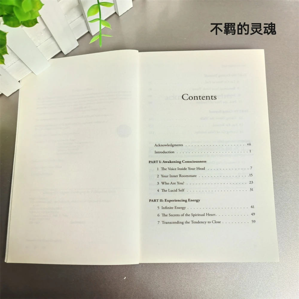 De ongetemde ziel van Michael A. Zanger De reis voorbij jezelf Roman # 1 New York Times bestseller paperbackboek