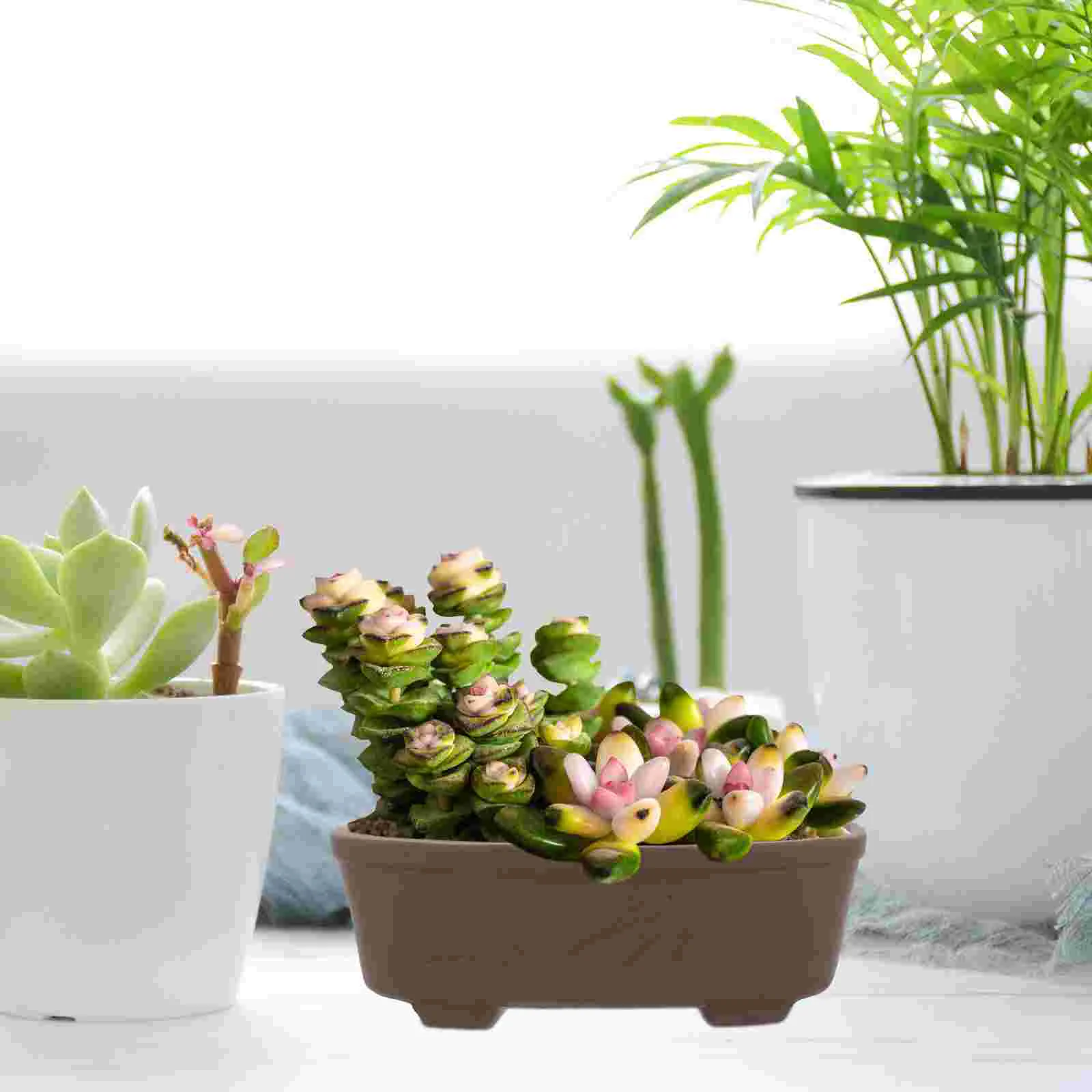 Handmade Vintage Style Clay Terracotta Bonsai Pot Unglazed Planter For Outdoor Garden Succulent Planters Flower