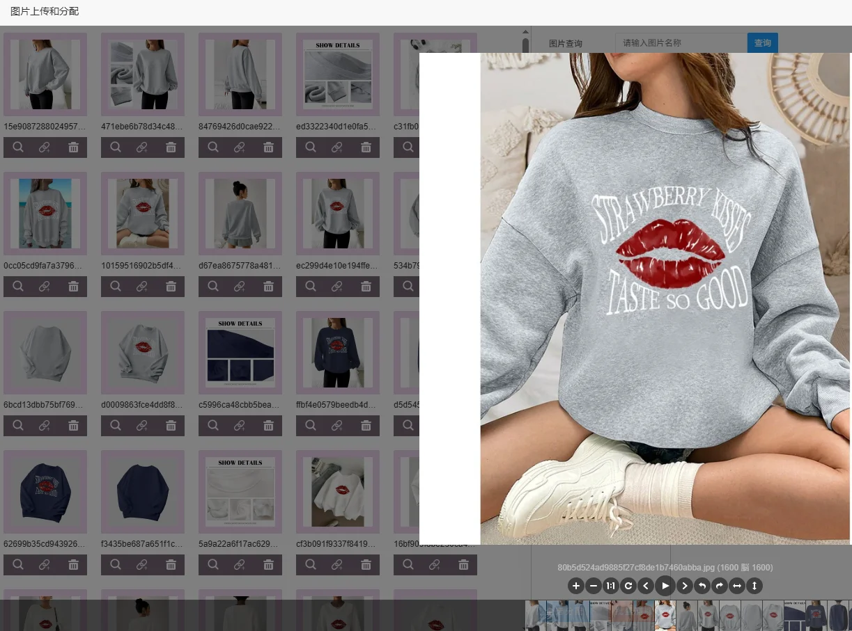 

2025 Fashion O-Neck Long Sleeve Pullovers Woman Elegant Sweatshirt Velvet Winter Warm Casual Loose Comfortable Printed Tops