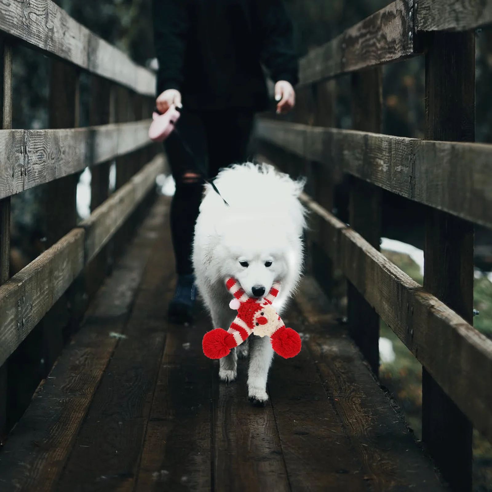 

2Pcs Christmas Pet Knitted Scarf for Cats Dogs Winter Neck Warmer Festive Party Accessory Soft Lightweight Decor