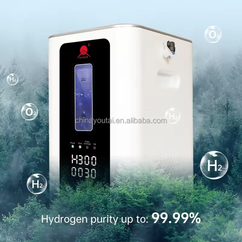 Factory H2 Pure 99.99% SPE Technology Body Health And Anti-aging Hydrogen Inhalation Machine