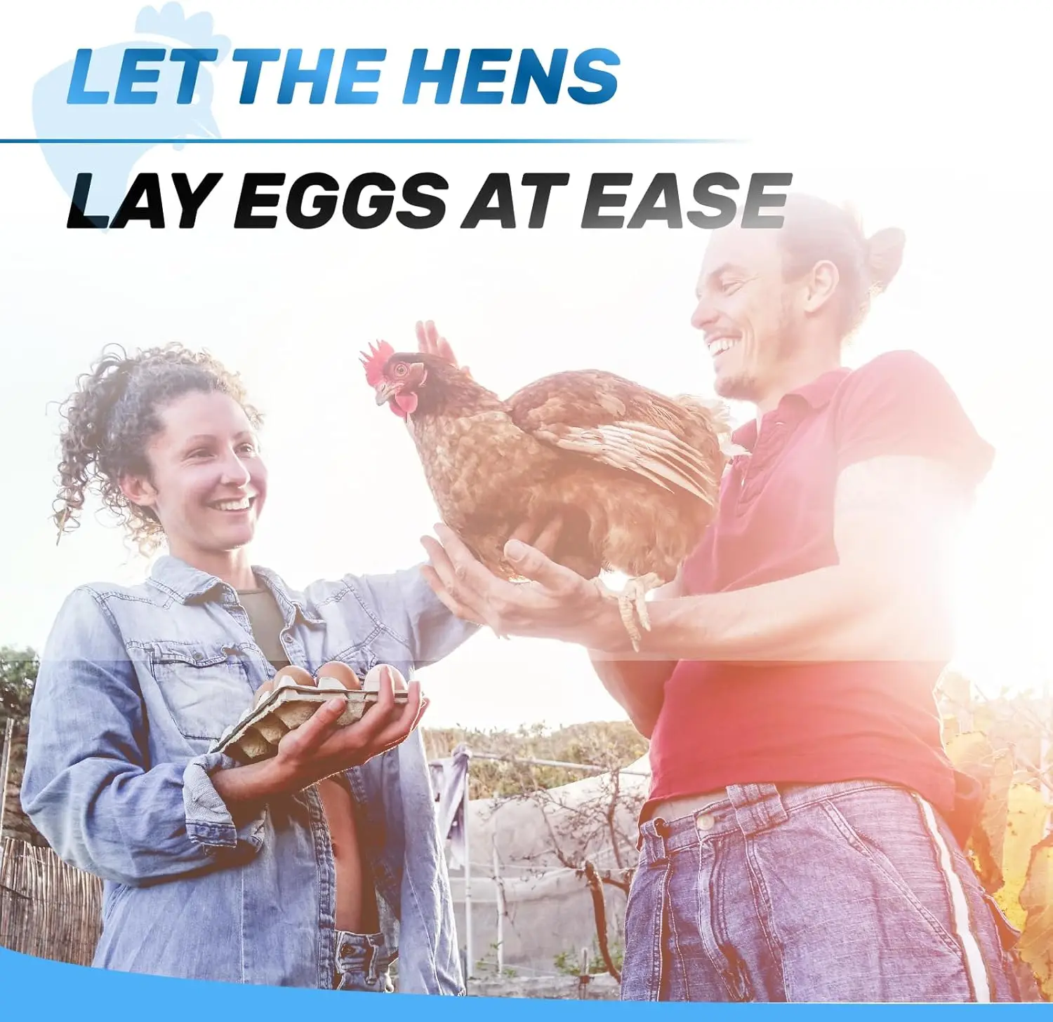 Chicken Coop Use, Metal, No Color Mentioned, 8 Compartments for Easy Egg Collection and Egg Protection