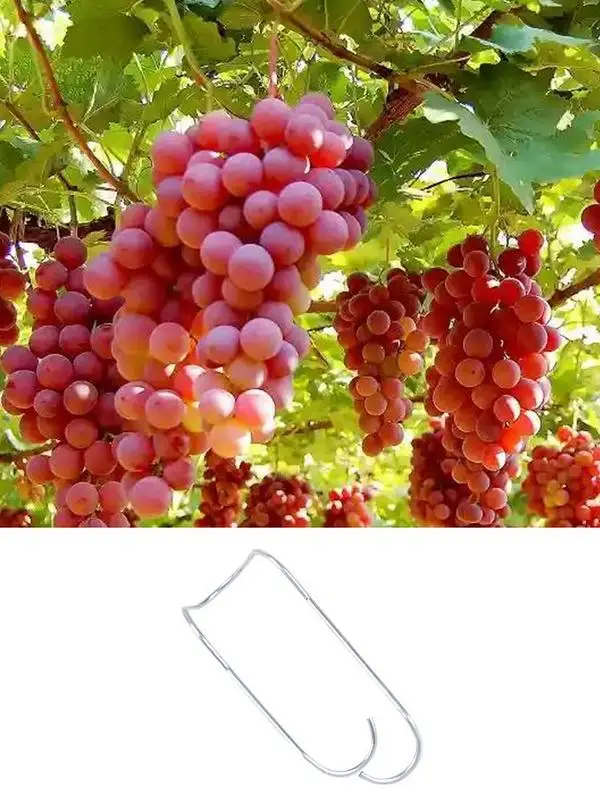 

50pcs Plant Connecting Buckles Vegetable Garden Stake Connectors Vegetable Trellis Wire Clip Garden Pile Clip For Balcony Garden