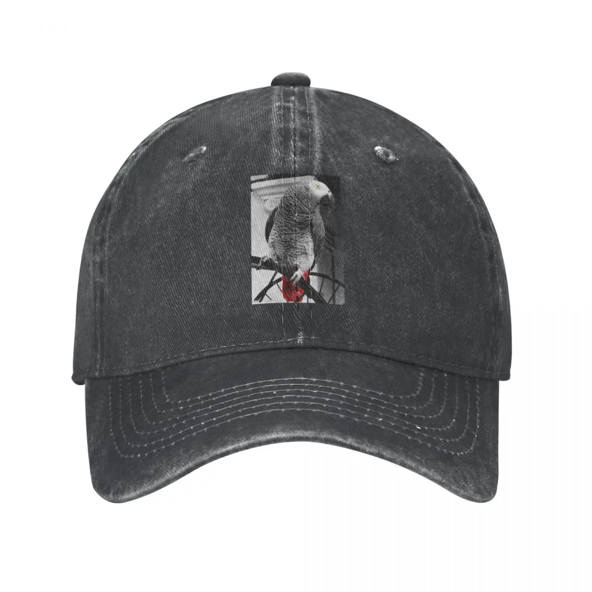 

African Grey Zipped Hoodie Baseball Cap Hat Beach Big Size Hat Boy Cap Women'S