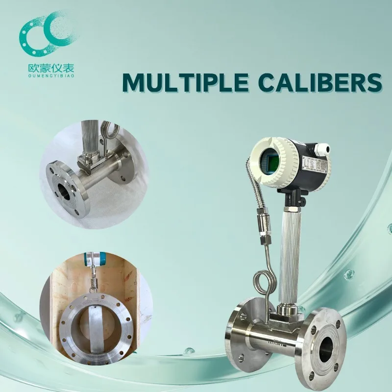 OEM Stainless Steel Variable Area Petroleum Flow Meter-4-20mA Gas & Fluid +/-1.5% Accuracy IP65/IP68 Protection