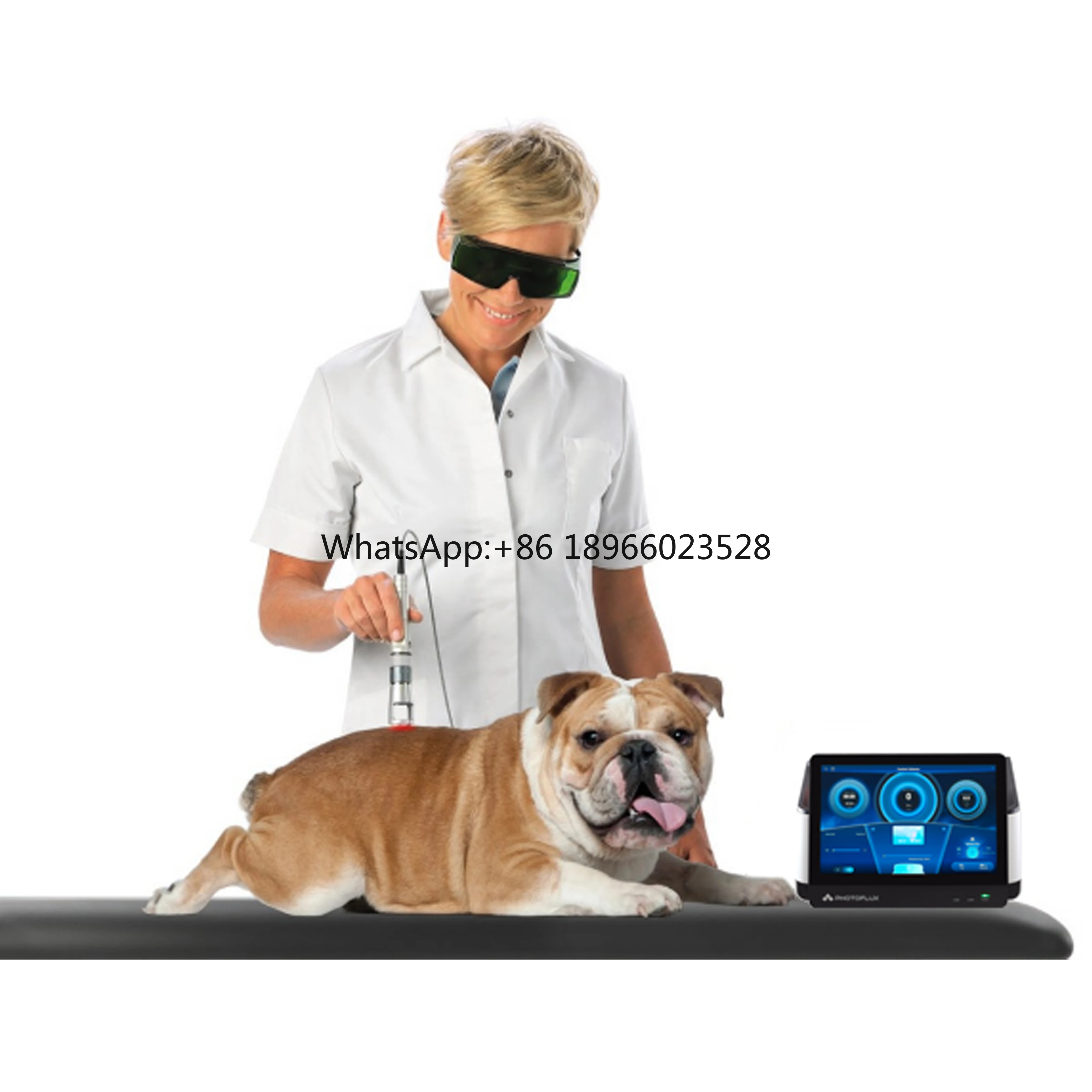 Phomed Class IV Physical Therapy Equipment Veterinary Laser for dog