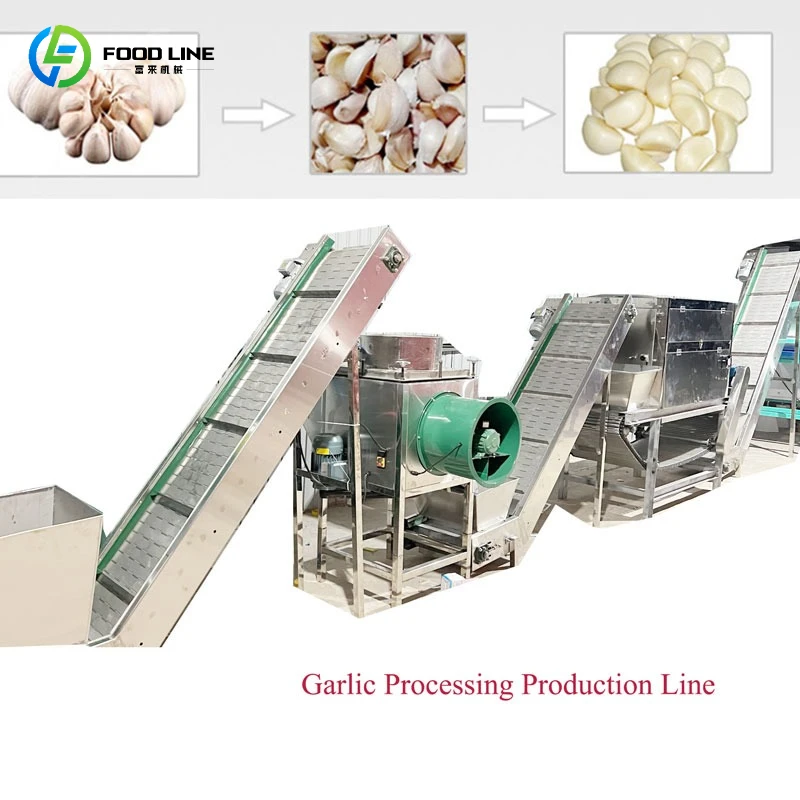 Customized Professional Garlic Sorting Peeling Washing Separating Production Line