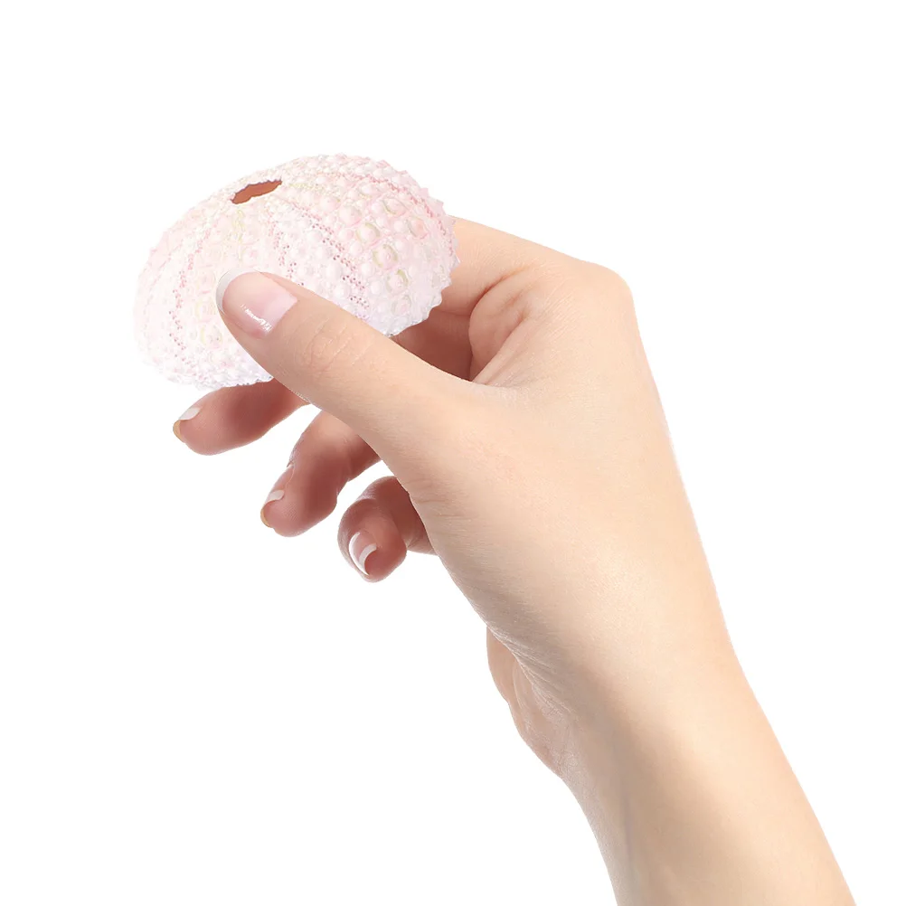 

6 шт., держатели для воздушных растений, ракушка, цветочный горшок, креативный горшок в форме морского ежеряка, настольный декор на подоконнике