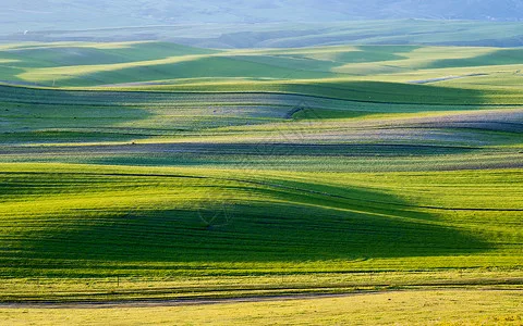 

2 шт. пневматические амортизаторы для радиоуправляемых моделей Tamiya 1/14: грузовиков, тягачей, прицепов, самосвалов SCANIA, Actros, MAN, VOLVO (DIY)