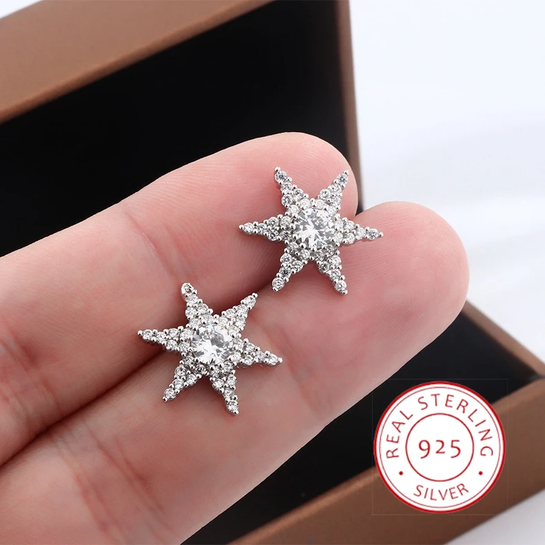 2024 Elegant and Exquisite Five pointed Star Earrings Sparkling with Starlight, Cute Female Haoshi S25 Silver Earrings