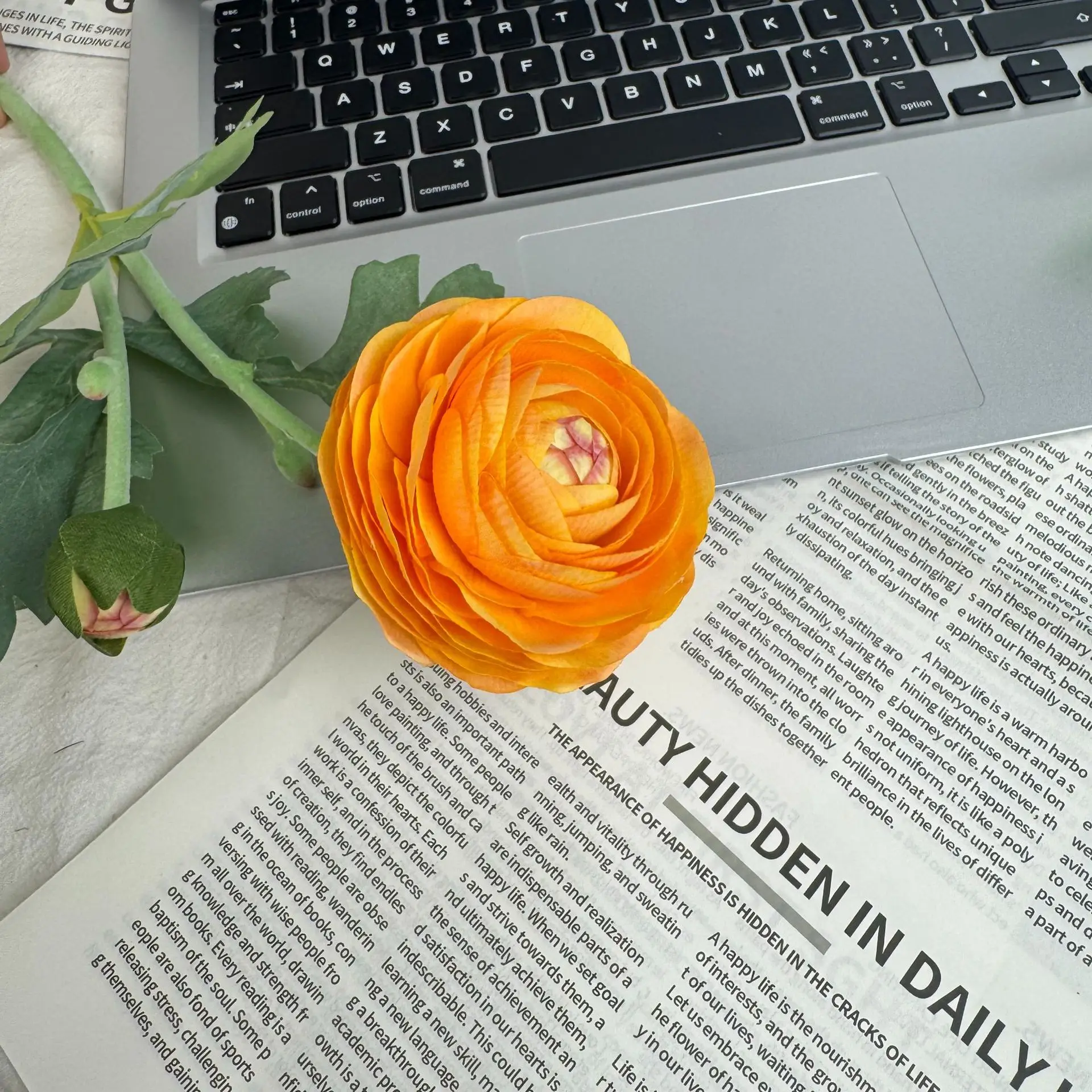 4 Stücke, angenehm anzufassen, feuchtigkeitsspendend, 2-köpfige Butterblumen, Dekoration für den Esstisch zu Hause, echt anfühlende künstliche Lotusblumen für Hochzeiten. – Detail 3