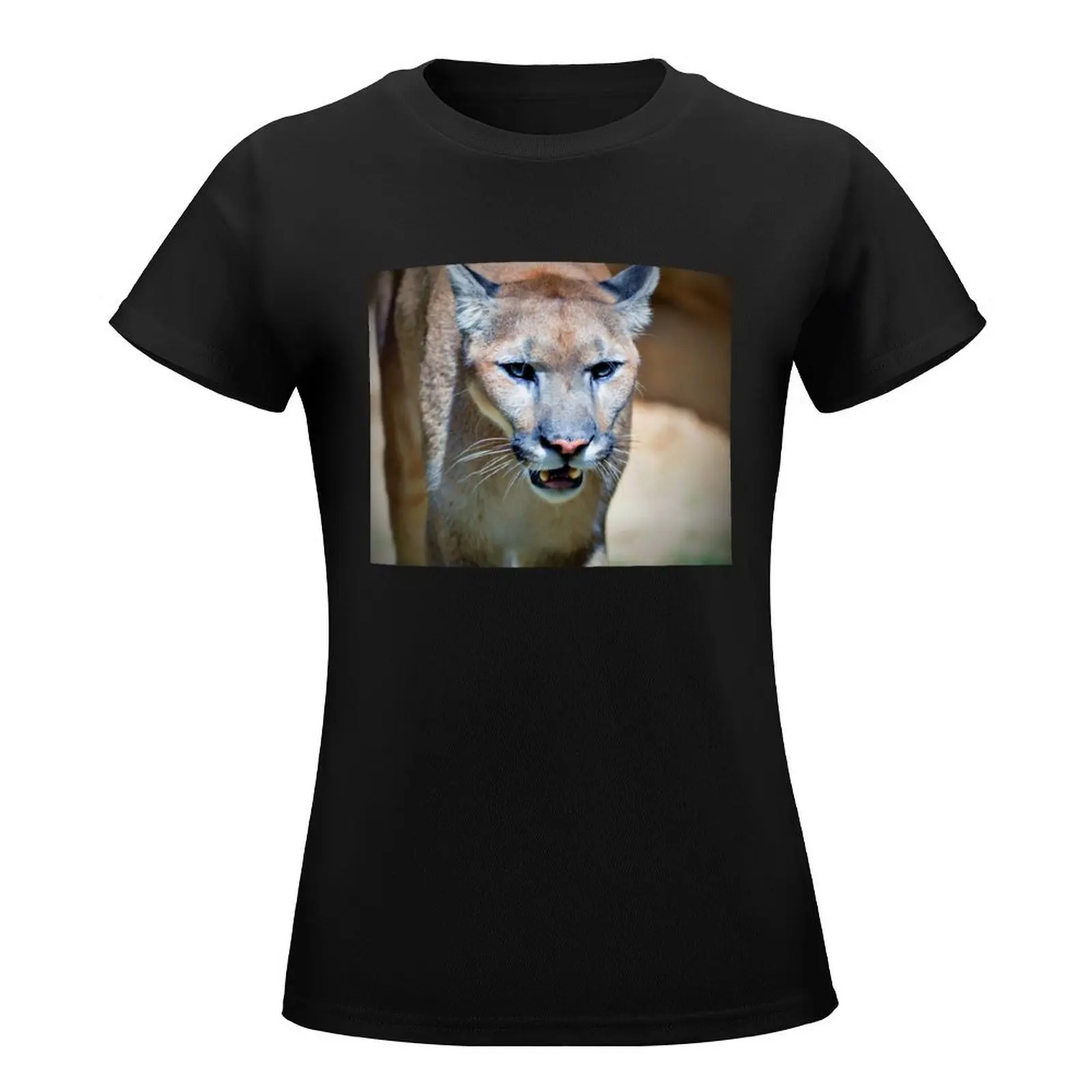 Cougar T-Shirt oversized cute tops rock and roll t shirts for Women
