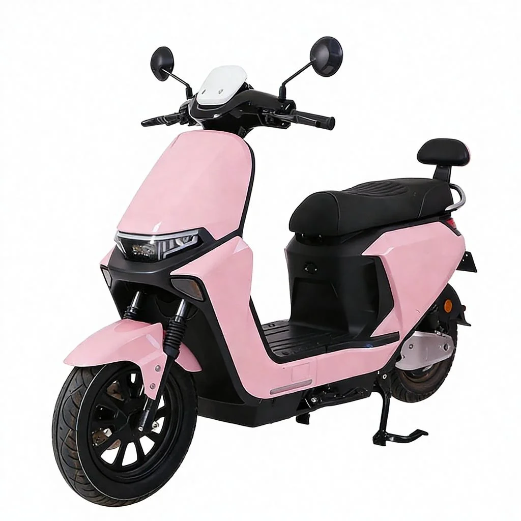 Electric Motorcycle Motor Power 1000W Electric Moped Speed 55km/h Adult Motorcycles Electric Motorcycle