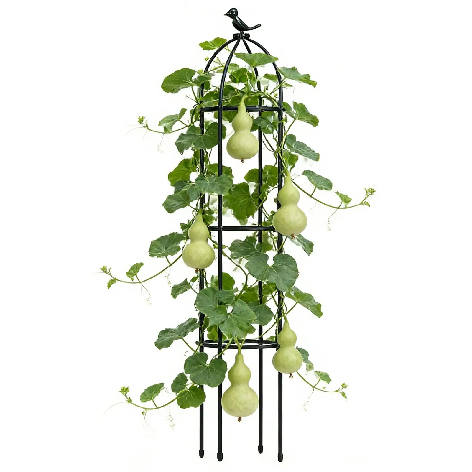 Rankgitter für Topfpflanzen, rostfrei, dekorative Rahmenpfähle, Pflanzenkletterstütze für den Außenbereich, Innenbereich, Rosen, Clematis, Gemüse