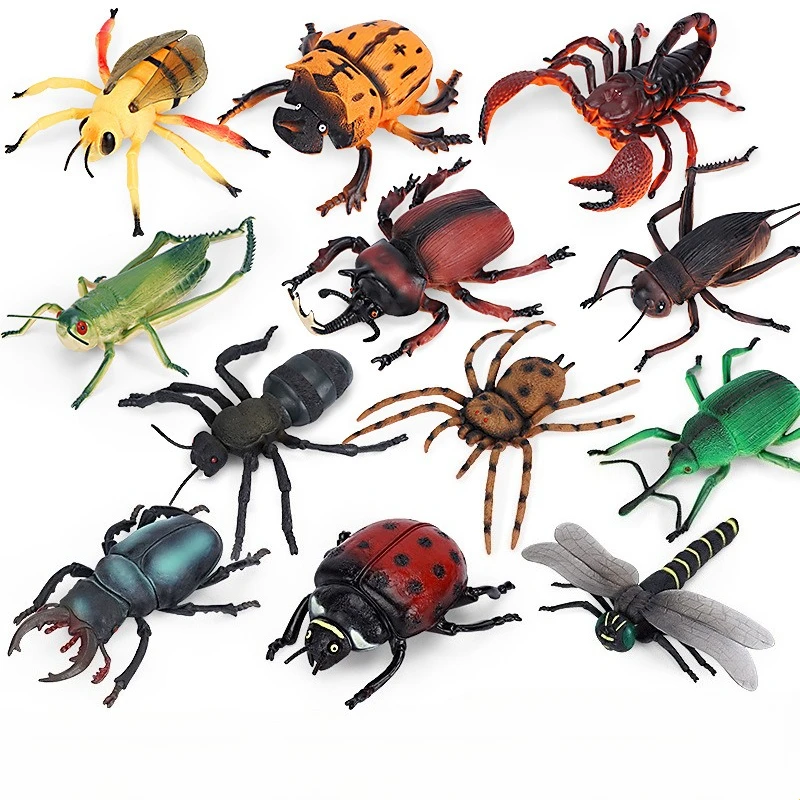 Simulated Wild Animals Large Insect Models Children's Early Education Cognitive Animal Decoration Simple Household Spider Models