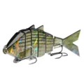 Striper