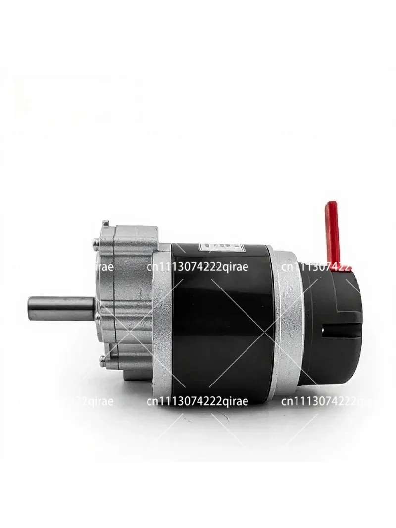 24V 350W Low Speed DC Gear Motor with Electric Brake for Wheelchair E-Bike