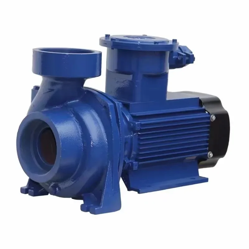 2 inch large flow self-priming oil pump 220V  methanol explosion-proof motor self-priming oil pump high power