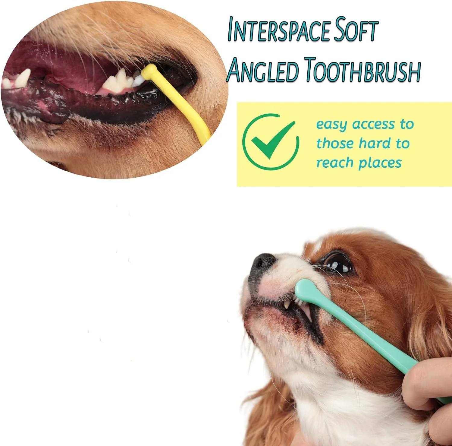 TONG-cepillo de dientes para perros y gatos, herramienta de limpieza bucal de cabeza pequeña, cuidado de mascotas