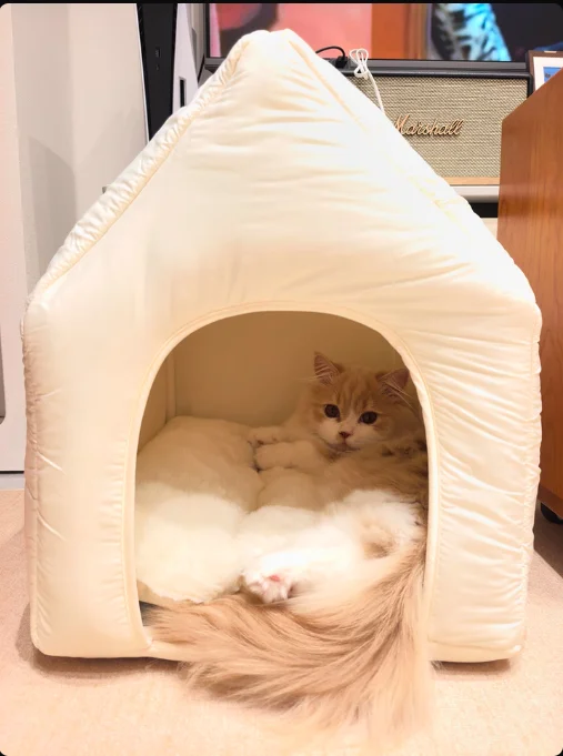 

Уютный полузакрытый домик для собак на зиму: мягкий, теплый, с защитой от холода для маленьких питомцев, обеспечивающий чувство безопасности