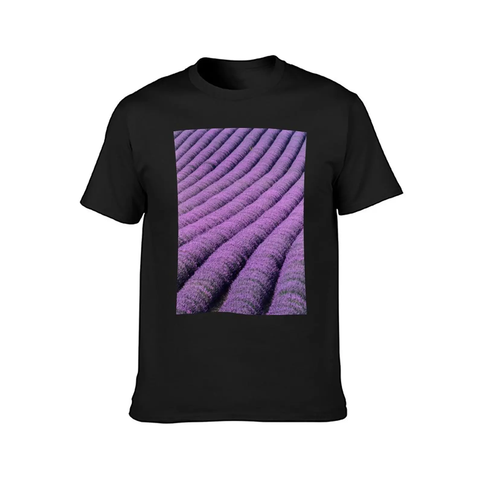 Field of lavender (B640/0470) T-Shirt quick drying sports fans boys whites boys animal print black t-shirts for men