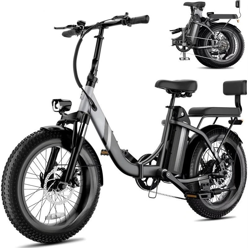 

SXLL Adult Folding Electric Commuter Bike 1000 Watt Removable Battery 24 Inch Fat Tire Shangang