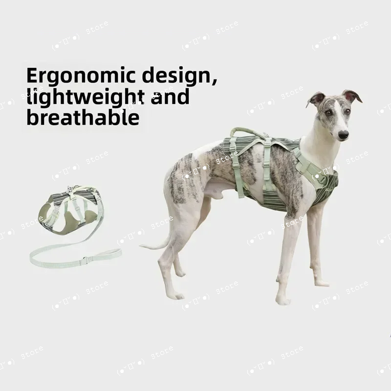 

anti-break explosion-proof dog harness and leash set whippet greyhound harnesses dogs accessories pet supplies arnes perro