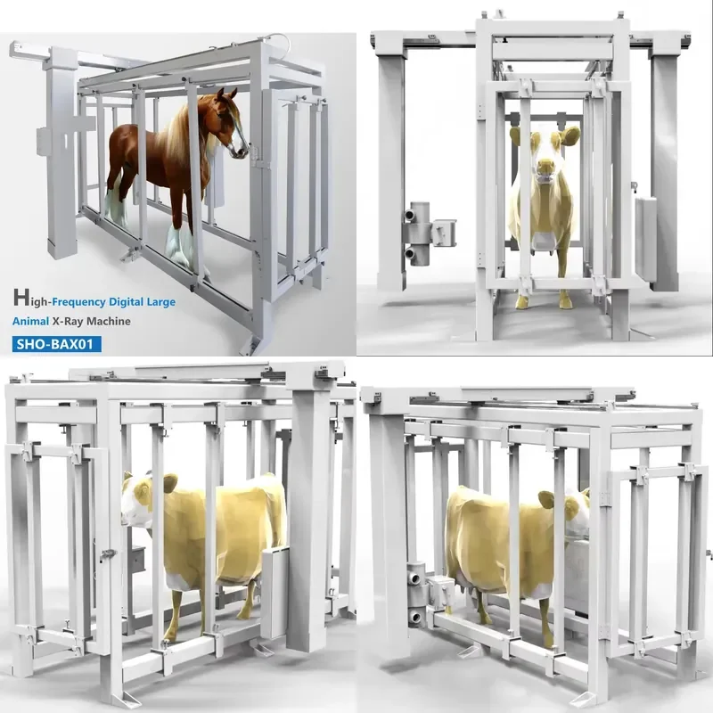 50KW 630MA Hot Sale Durable Veterinary High-Frequency Digital DR Large Animal X-Ray Machine
