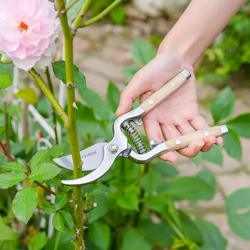 

Садовые секаторы, секаторы для грубой обрезки из нержавеющей стали, секаторы для обрезки плодовых деревьев и цветочных растений в горшках