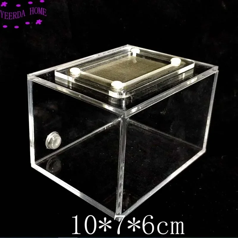 Compact Micro-Habitat and Colony Observation Box - 10x7x6cm 1