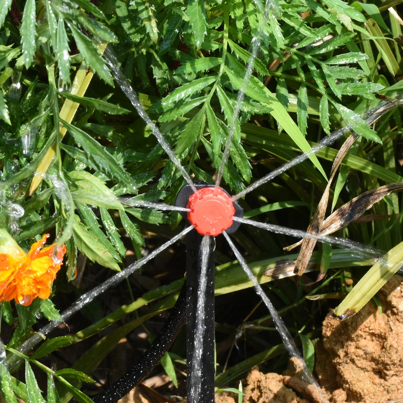 Kesla 5m-30m bicos de nebuliza - Smart Garden Project avaliação e preço