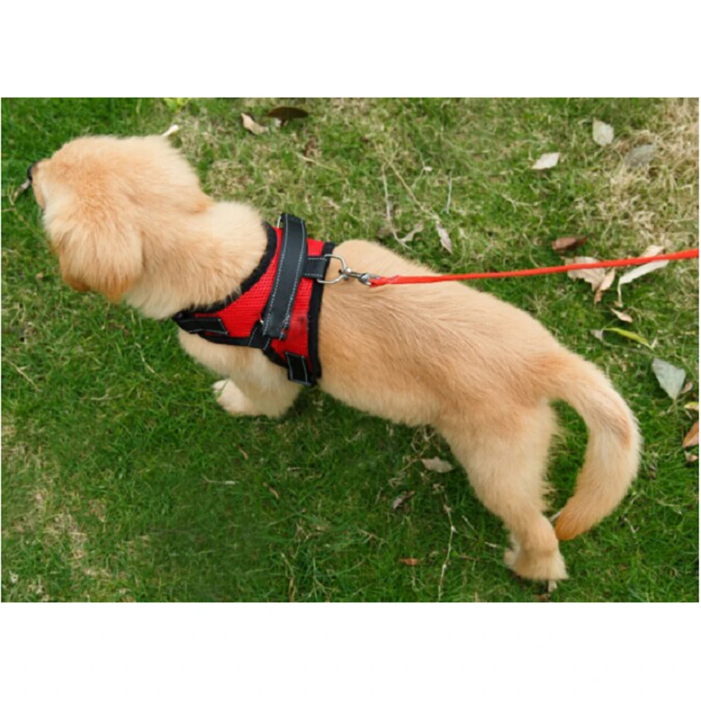 

Mesh Saddle For Medium Large Dogs Puppy Comfortable Walking Quick Release Buckle Free Movement Steel D Red